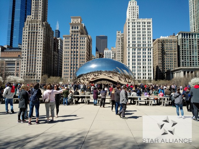 Chicago Lufthansa Star Alliance Logo