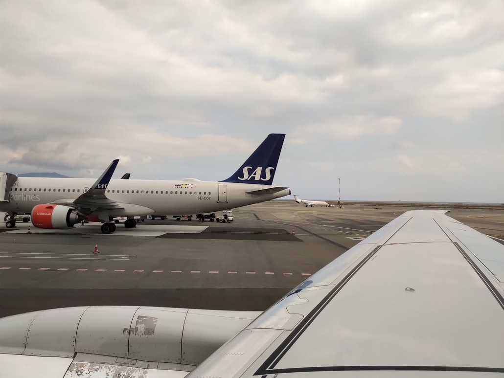 SAS Airbus A320 in Nizza